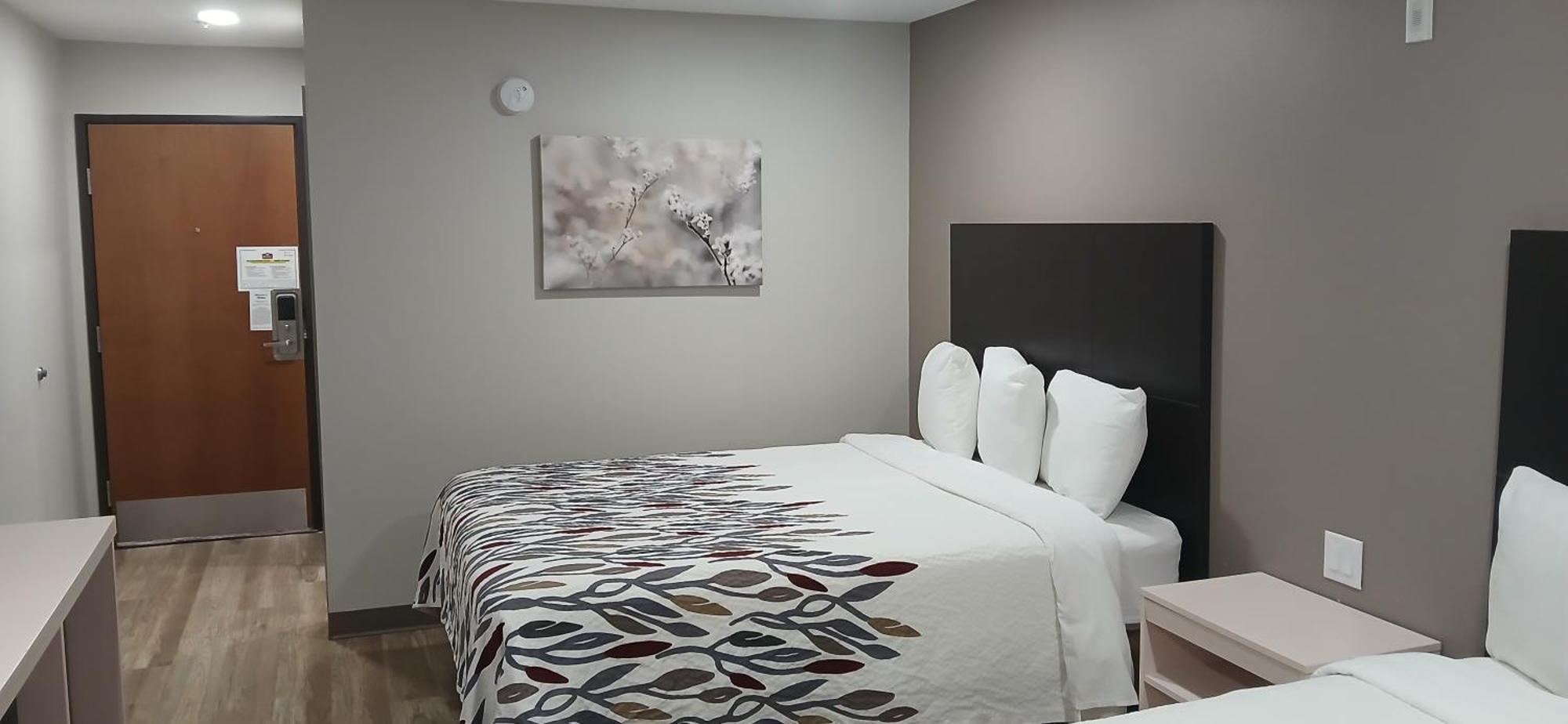 Red Roof Inn & Suites Euless - Dfw Airport Southwest מראה חיצוני תמונה