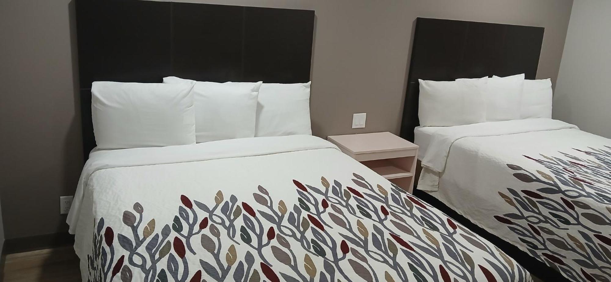 Red Roof Inn & Suites Euless - Dfw Airport Southwest מראה חיצוני תמונה